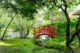 Κόκκινο γεφυράκι ανάμεσα σε ευκάλυπτους και φυτά στον Ιαπωνικό κήπο της Χάγης